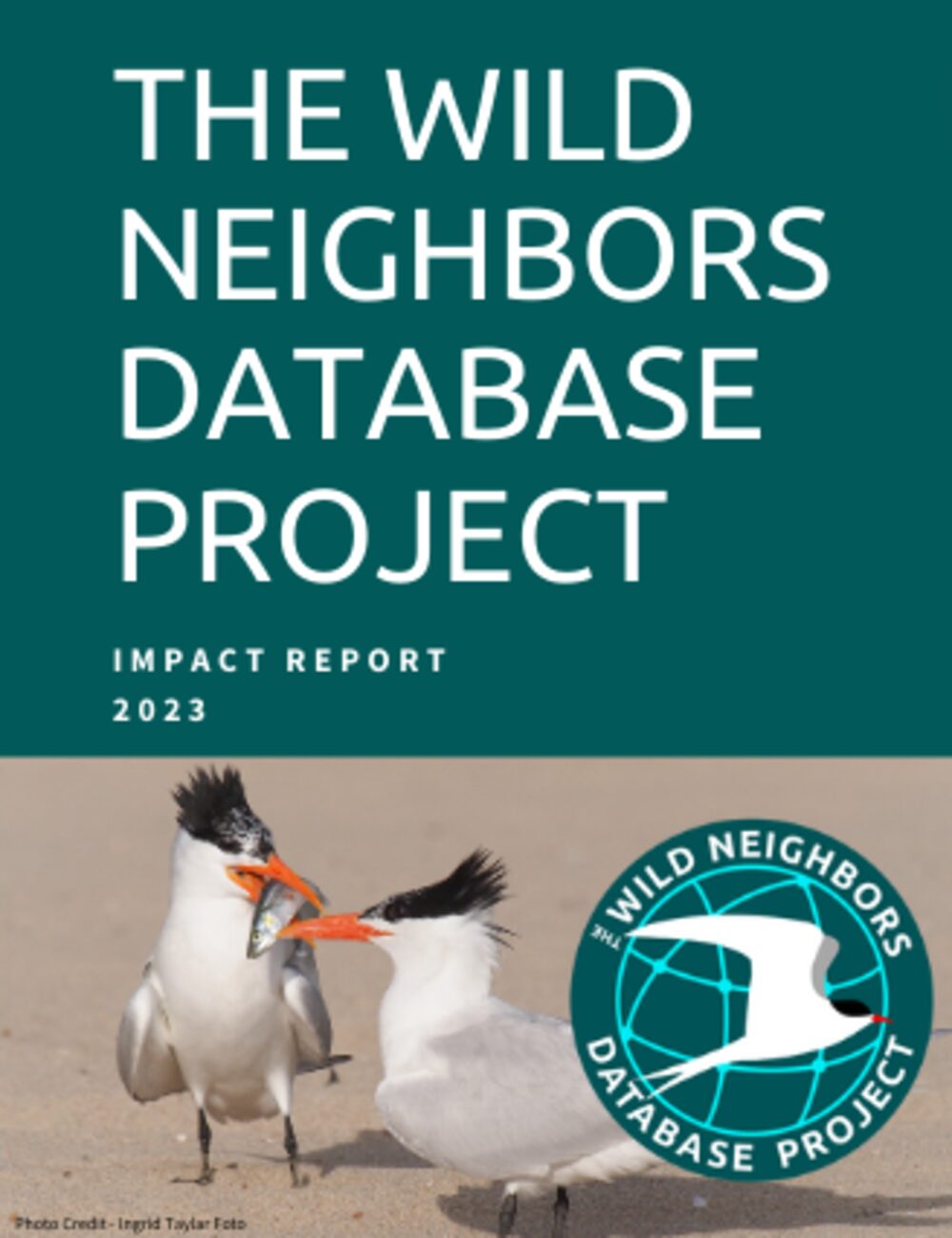 2023 Impact Report