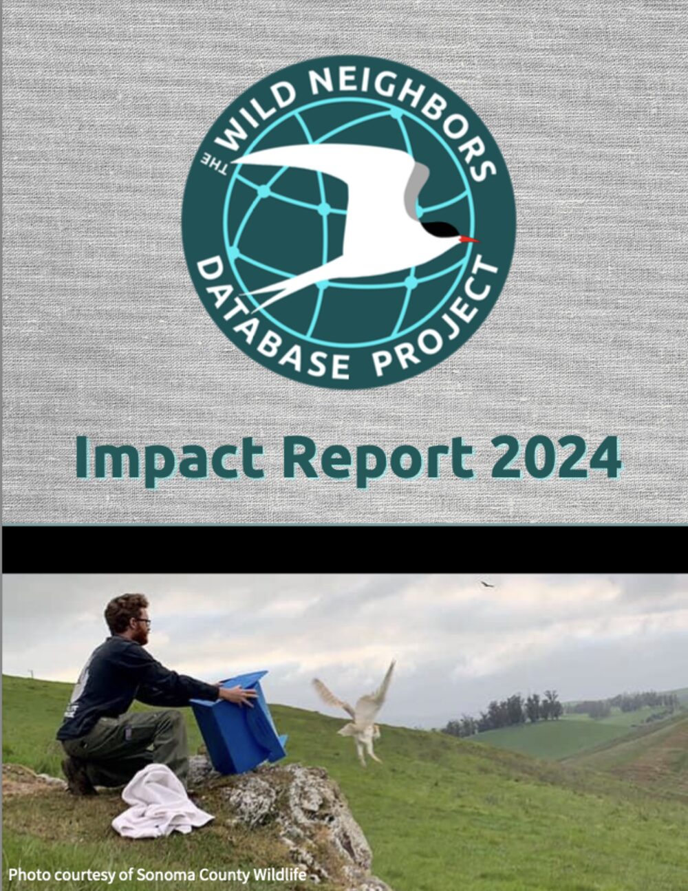 2024 Impact Report