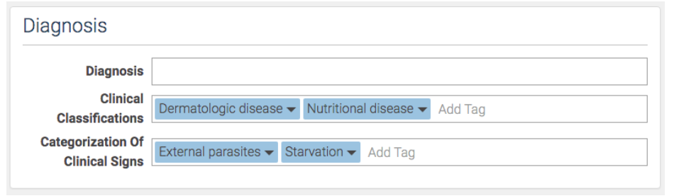 Classification Tagging