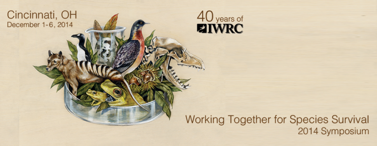 IWRC 2014 Recap