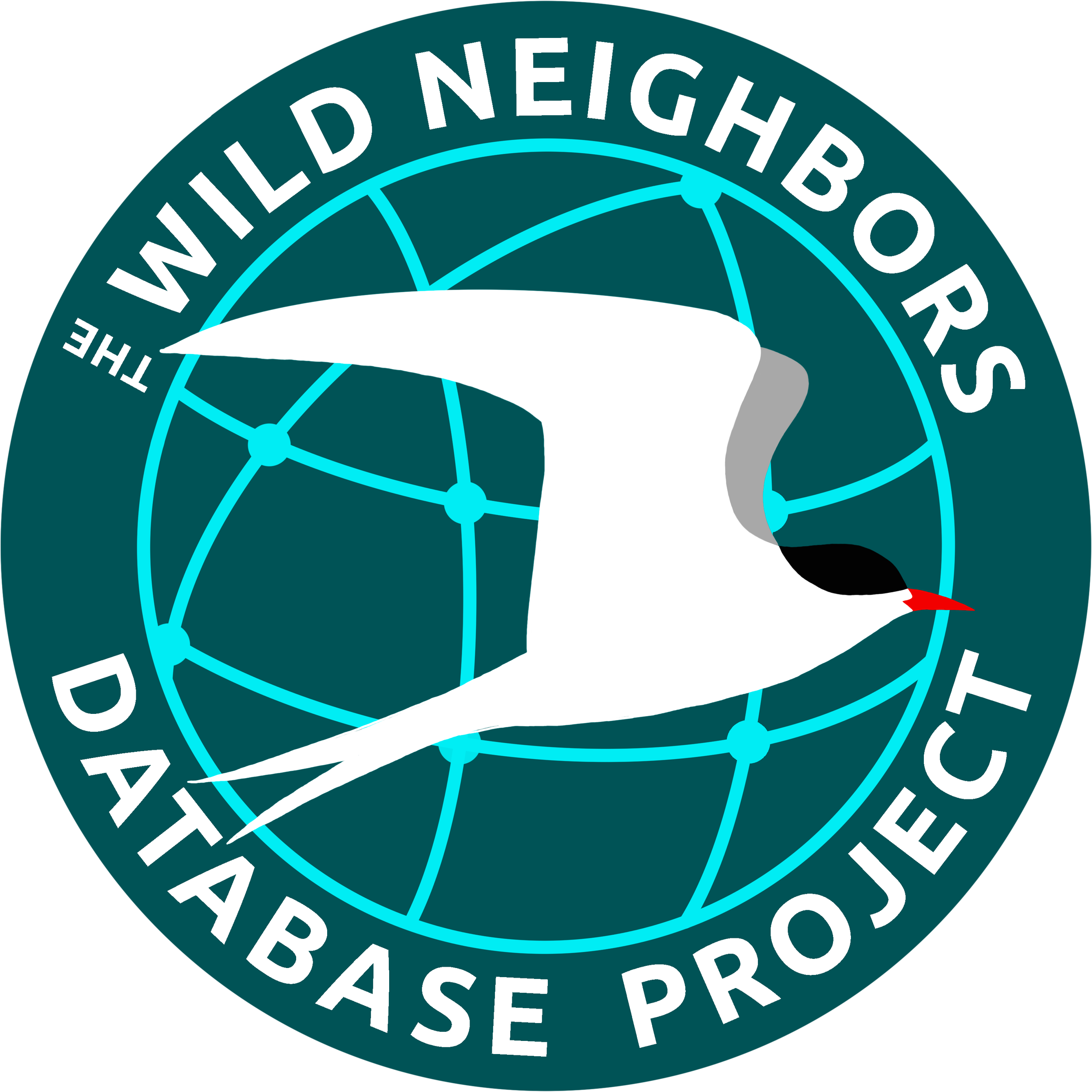 We're Hiring a Technical Writer!
