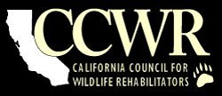 WRMD 3.0: Presentation at CCWR Symposium